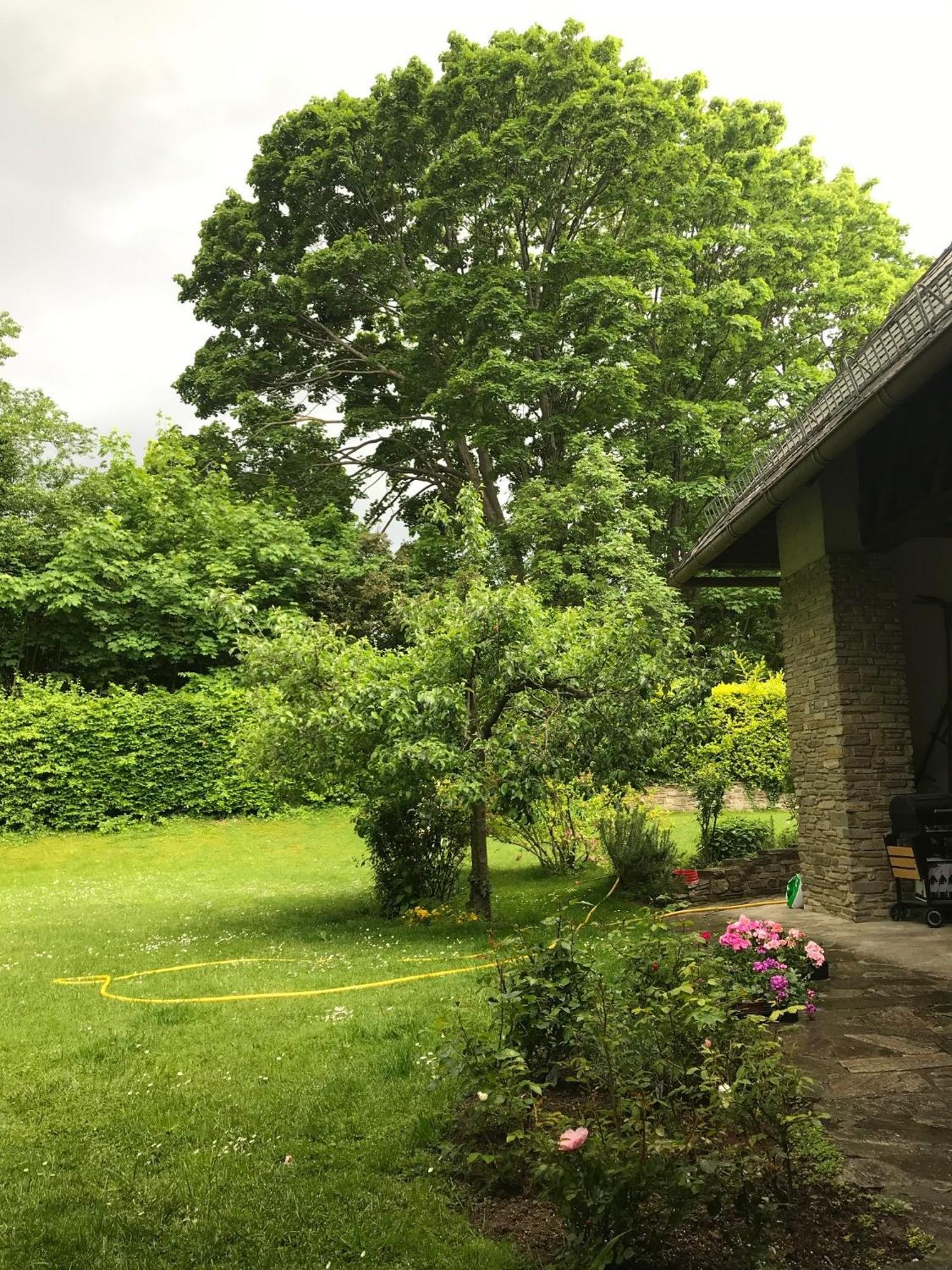 Landhaus Am Kurpark Lägenhet Baden Exteriör bild