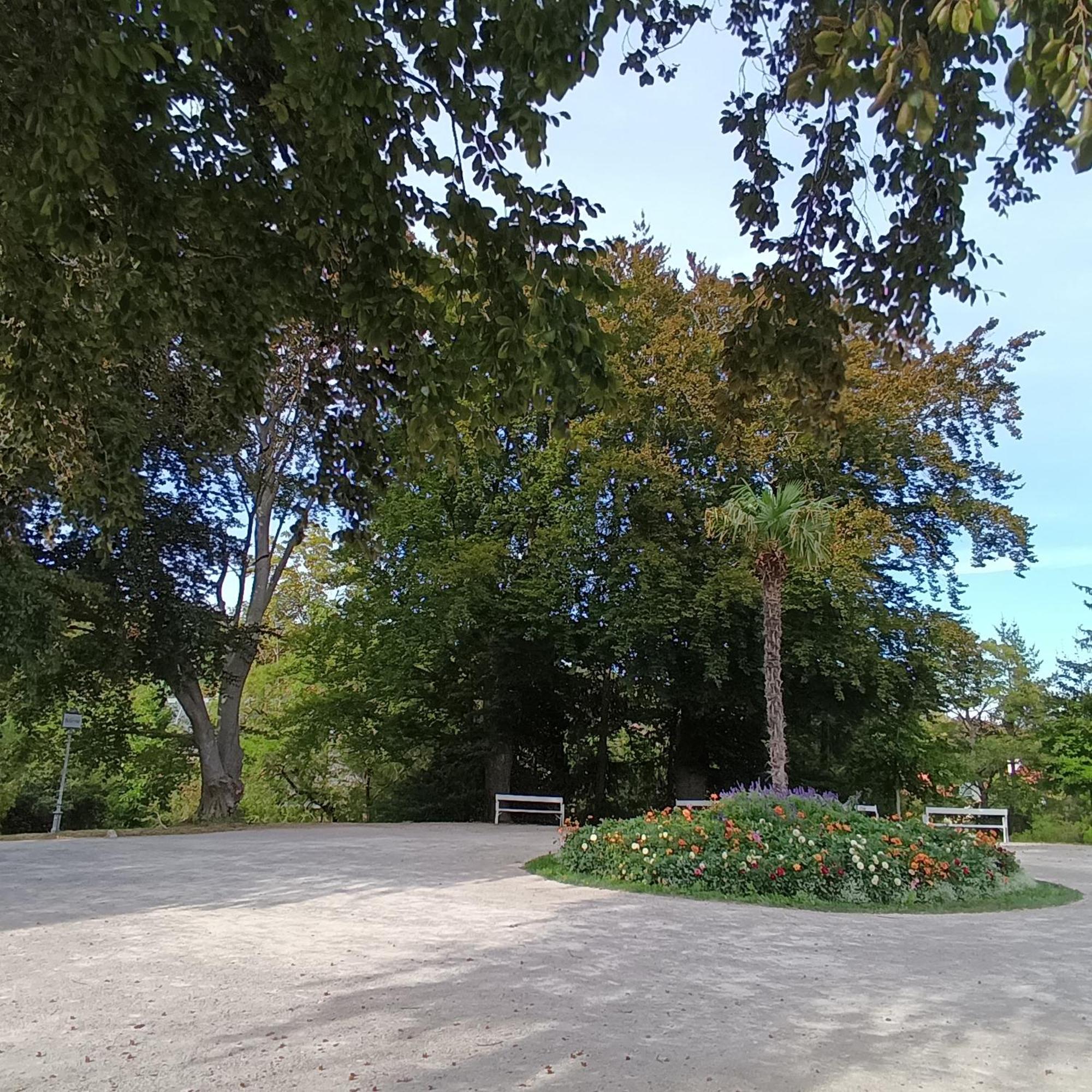 Landhaus Am Kurpark Lägenhet Baden Exteriör bild